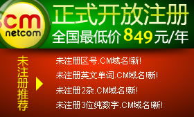 耐思尼克 一站式企業互聯網解決方案，助力您的數字化征程