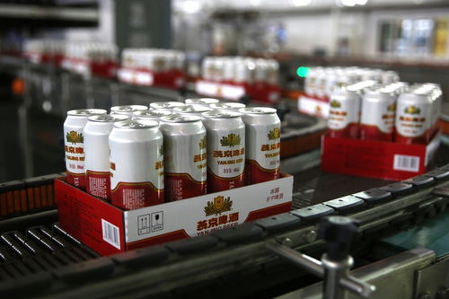 餐桌上的食品安全無小事 走進沈陽綠色工廠，探訪神秘的啤酒酵母生產線