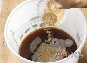 啤酒酵母 被低估的營養寶庫，不止于緩解口腔潰瘍