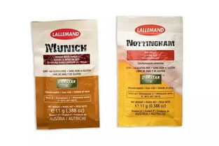 夏日必備的微醺藝術 走進精釀吧，探索啤酒酵母的奇妙世界