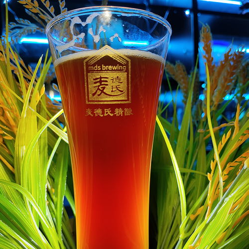 微型啤酒設(shè)備中減少啤酒氧化的措施與啤酒酵母的作用